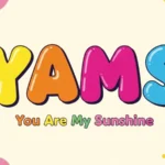 what does yams mean in text