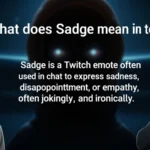 what does sadge mean in text