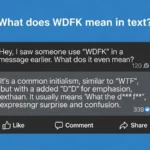 what does wdfk mean in text