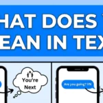 What Does YN Mean in Text