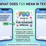 what does fso mean in text