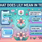 what does lily mean in text