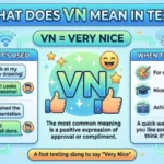 what does vn mean in text