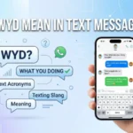 wyd mean in text message