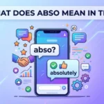 what does abso mean in text