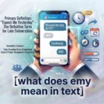 what does emy mean in text