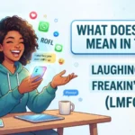what does lmfso mean in text