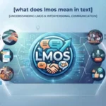 what does lmos mean in text