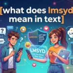 what does lmsyd mean in text