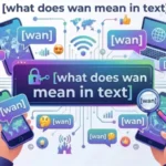 what does wan mean in text