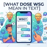 what dose wsg mean in text
