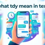what tdy mean in text