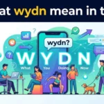what wydn mean in text