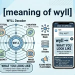 meaning of wyll