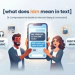what does idm mean in text